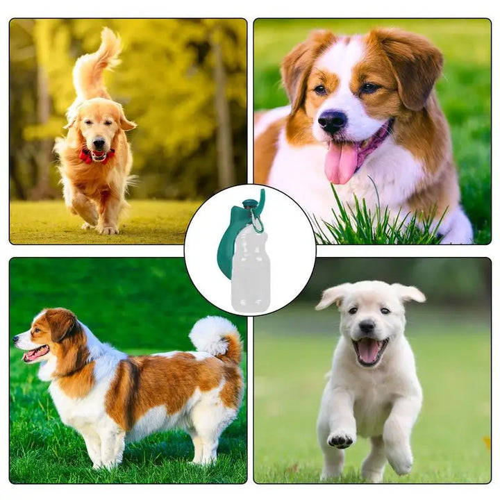 Distributeur d'eau portable pour chien avec gobelet pliable - HautePattes