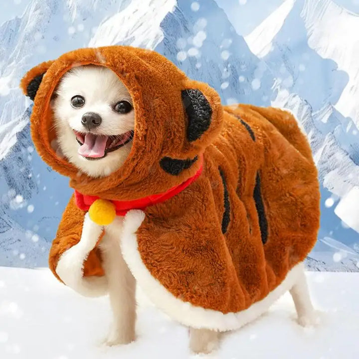 Cape d’hiver pour chien : douce, chaude, craquante