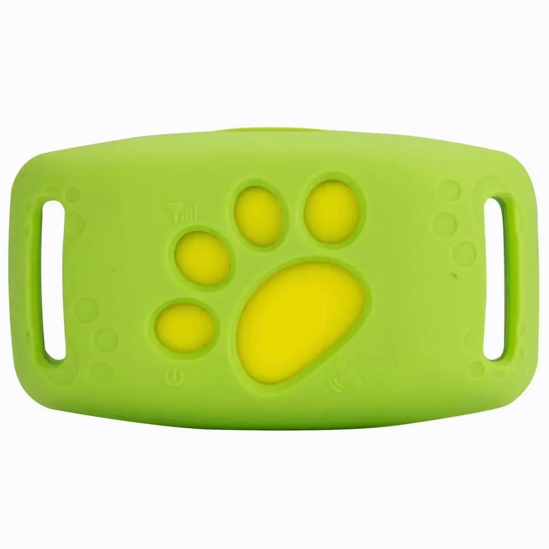Collier GPS pour chien & chat – Ne le perds plus jamais de vue