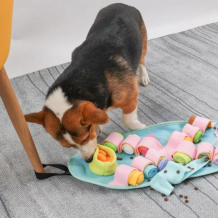 Tapis à Renifler Ultra-Stimulant - HautePattes