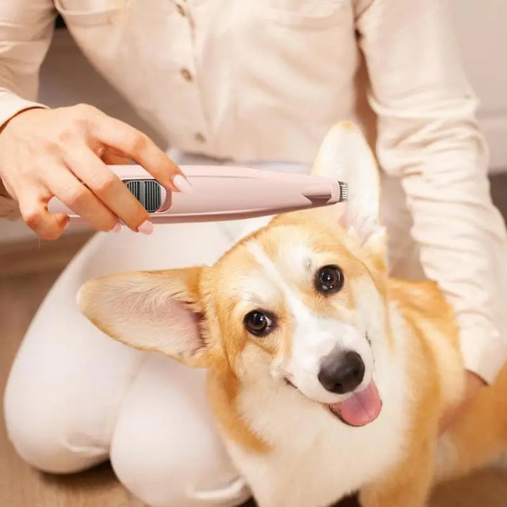 Tondeuse pattes pour chien et chat : douce, précise, sans stress