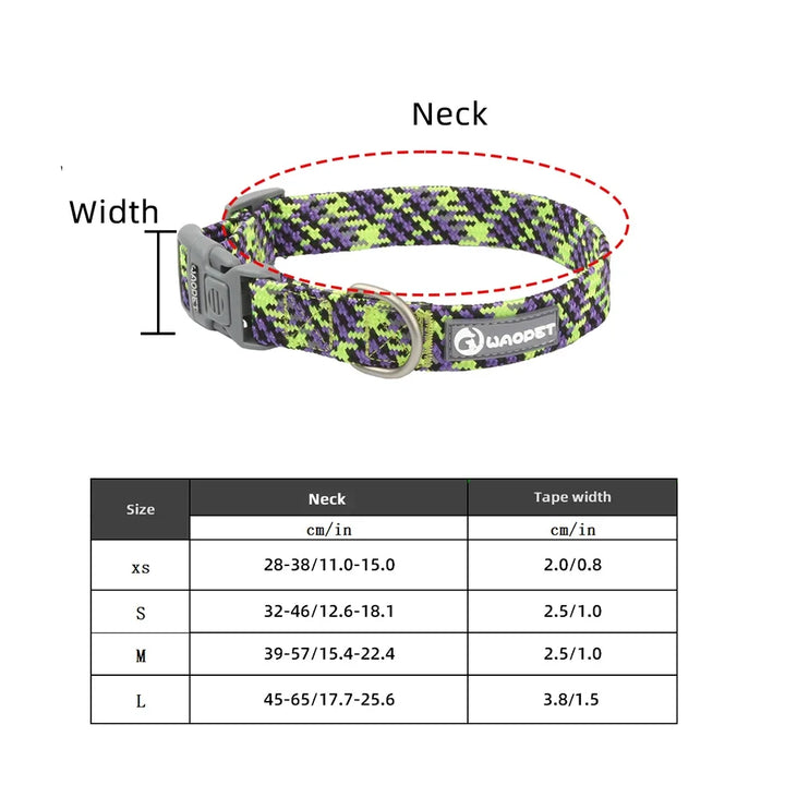 Collier réfléchissant chien & chat : visible la nuit, discret au quotidien