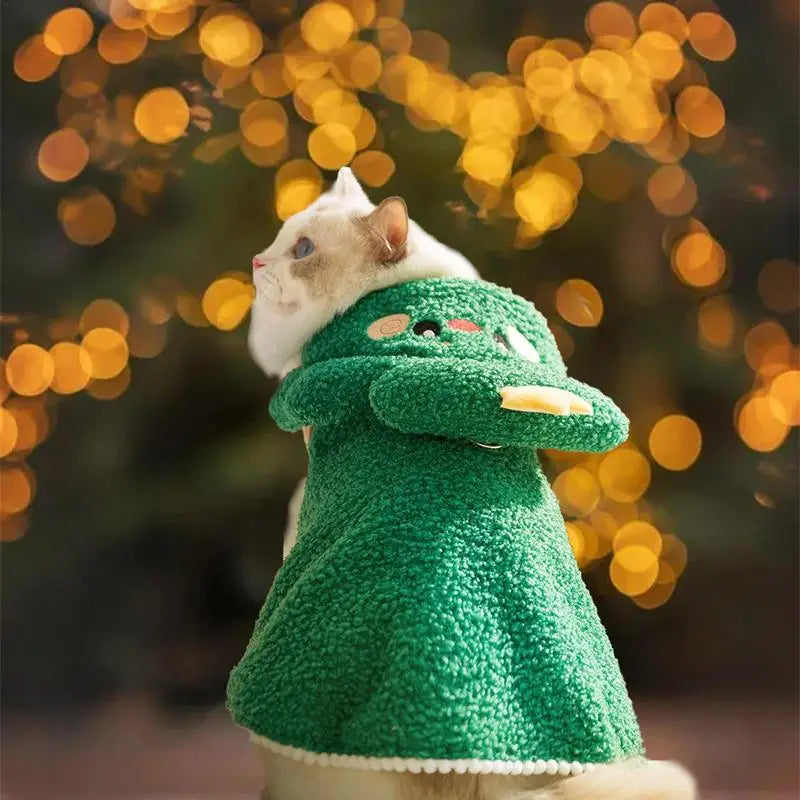 Costume de Noël pour chien : doux, magique, inoubliable
