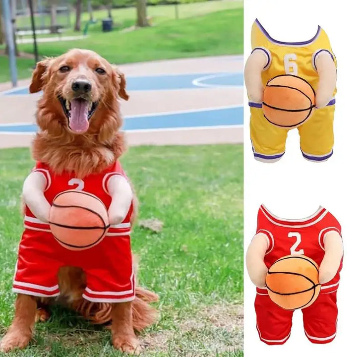 Costume basketteur pour chien : transforme-le en star du salon