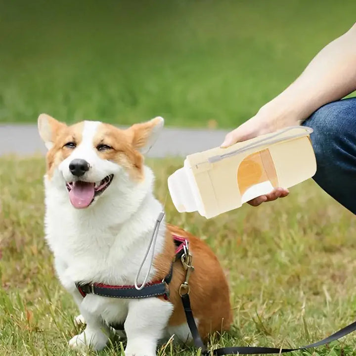 Gourde Portable 2-en-1 pour Chien - HautePattes