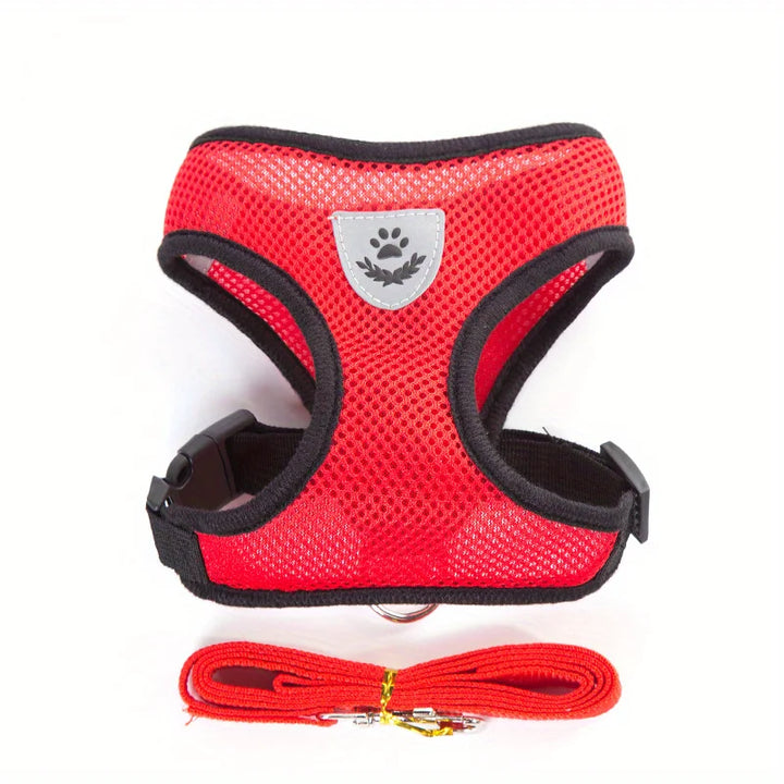 Ensemble harnais et laisse réfléchissants pour animaux de compagnie, pour chiens et chats, harnais réglable pour chiot et chat avec maille douce - HautePattes