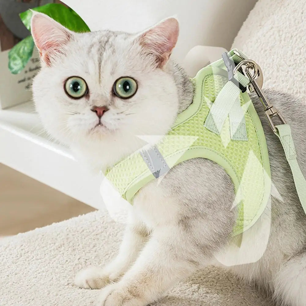 Harnais et laisses anti-fuite pour chat, pour petit et moyen chien, respirant, réfléchissant, réglable, sangle de poitrine pour chaton, fournitures pour animaux de compagnie - HautePattes