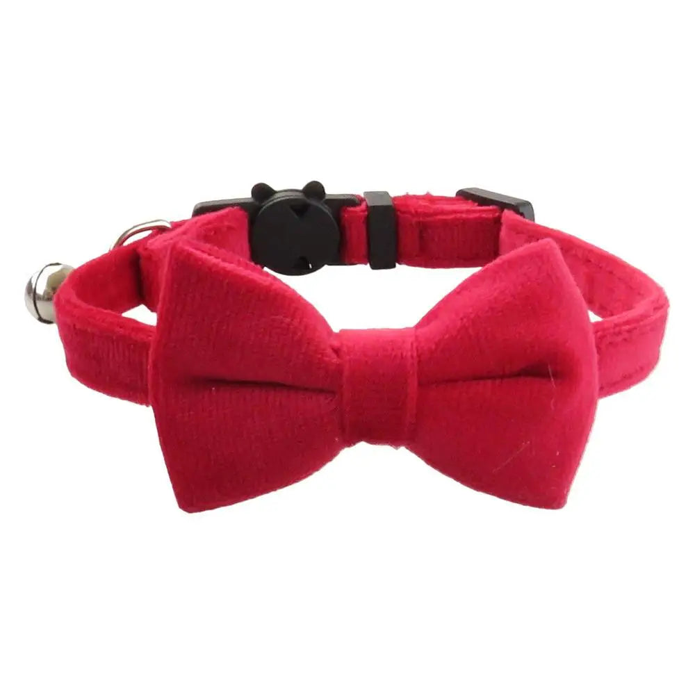Collier nœud papillon chien & chat : chic discret, amour visible, souvenirs précieux