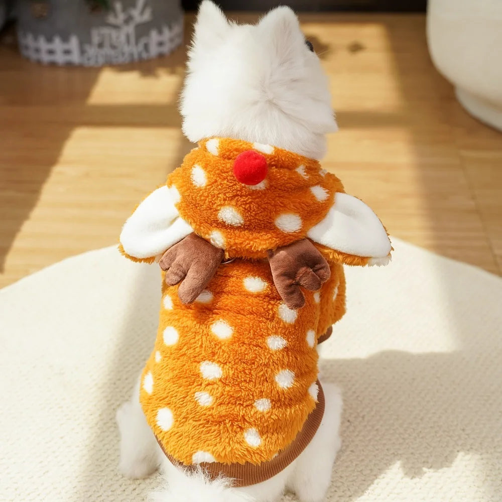 Costume renne pour chien : chaleur, douceur, photos craquantes