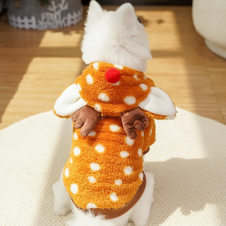 Costume renne pour chien : chaleur, douceur, photos craquantes