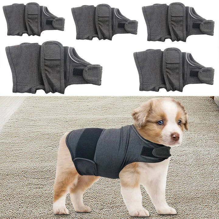 Un câlin continu pour chiens anxieux ou stressés