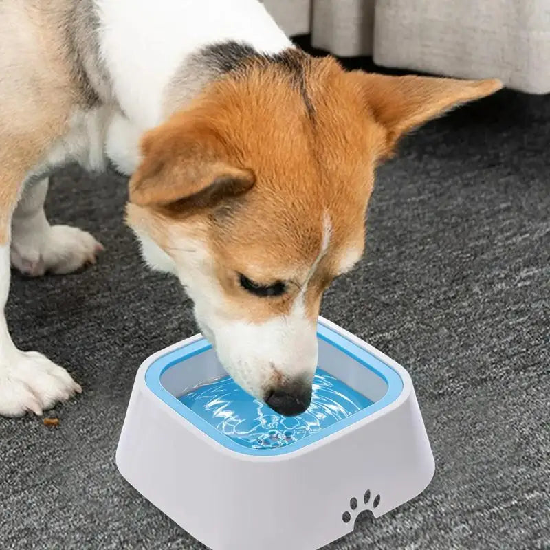Gamelle anti-fuite pour chien grande capacité - HautePattes