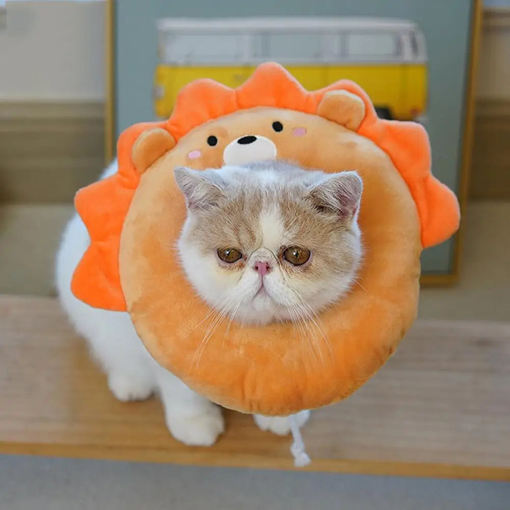 Collerette pour chat en nylon - HautePattes