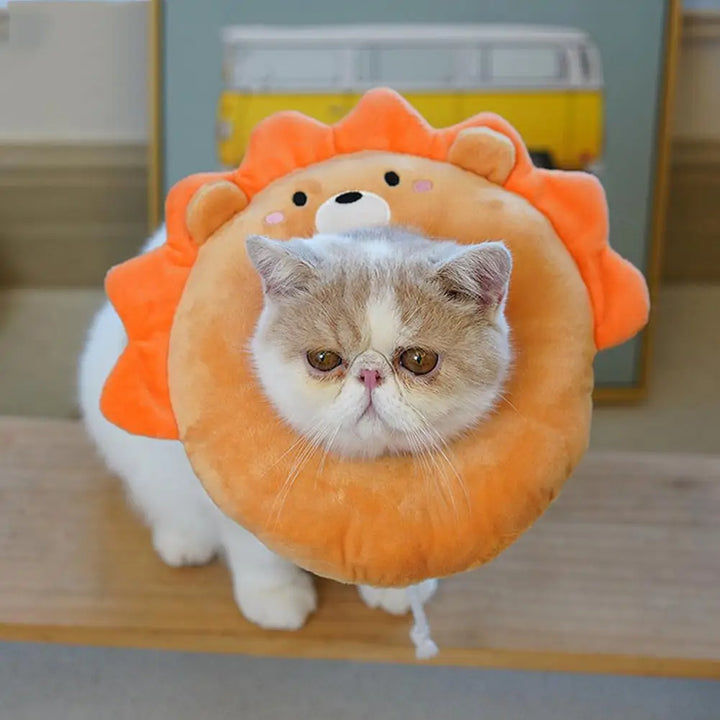 Collerette pour chat en nylon - HautePattes