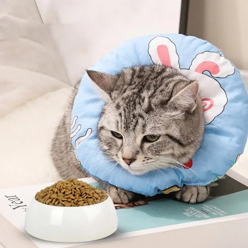 Collerette pour chat en coton - HautePattes