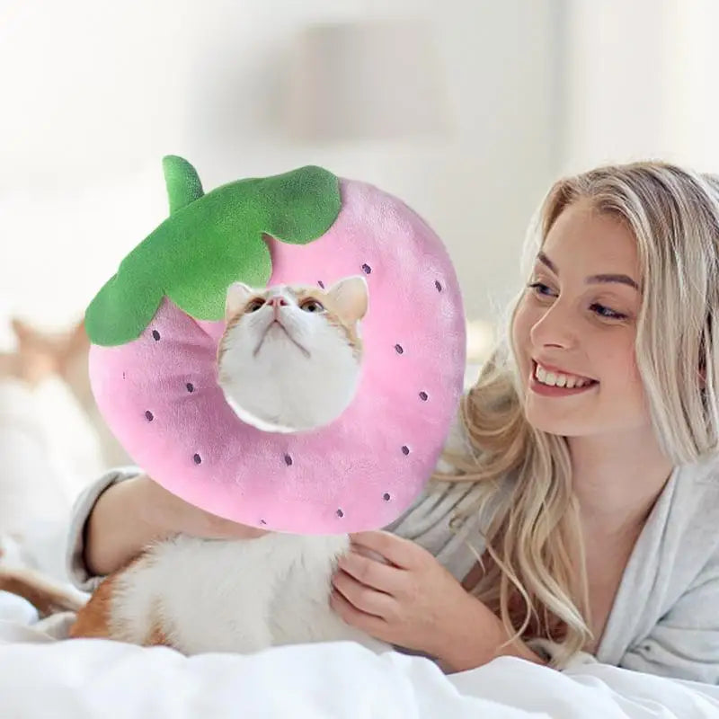 Collerette pour chat fruits - HautePattes
