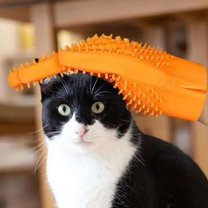 Gant pour chat et chien - HautePattes