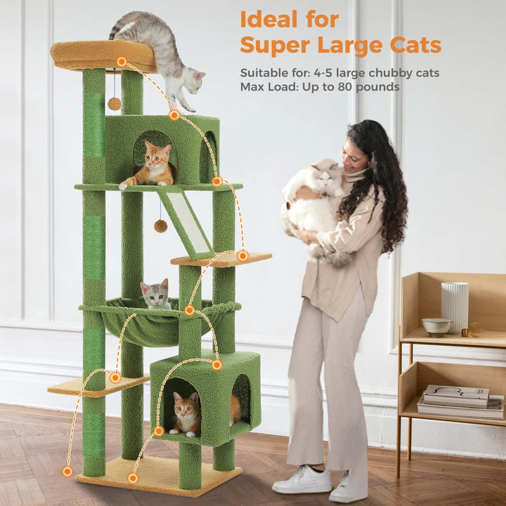 Un territoire majestueux pour les grands chats puissants