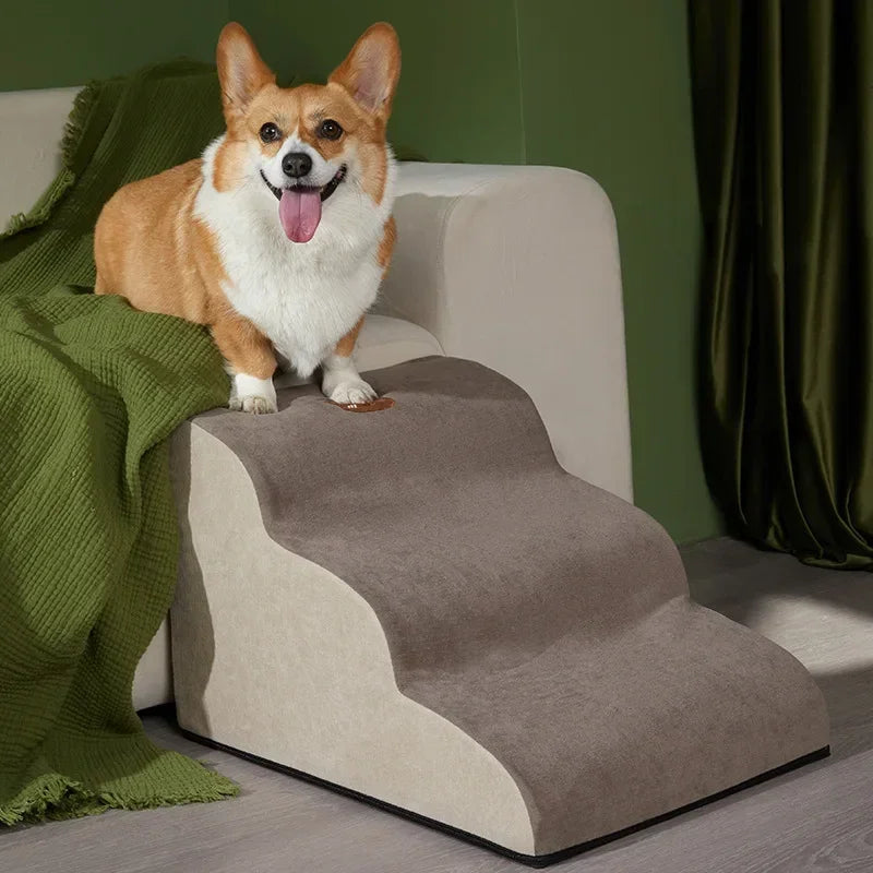 Escalier Premium 2 Marches pour Chiens – Confort et Sécurité Ultimes - HautePattes