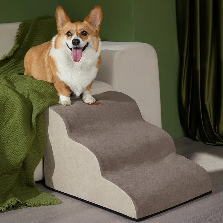 Escalier Premium 2 Marches pour Chiens – Confort et Sécurité Ultimes - HautePattes