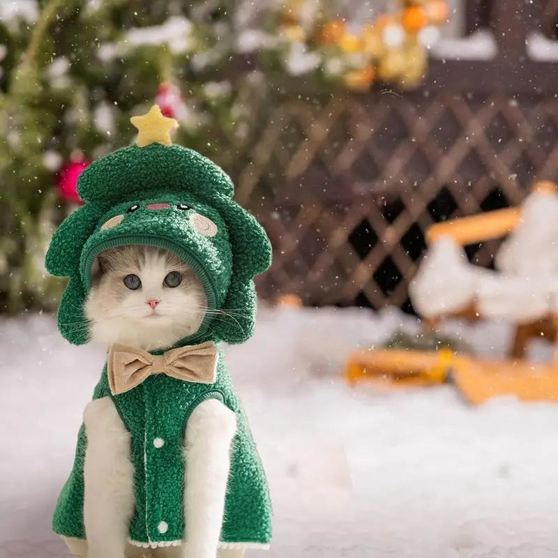 Costume de Noël pour chien : doux, magique, inoubliable