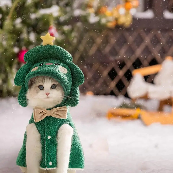 Costume de Noël pour chien : doux, magique, inoubliable