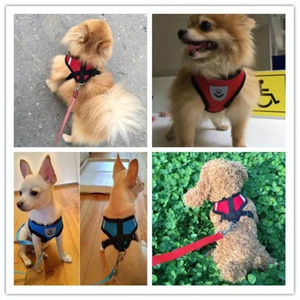 Ensemble harnais et laisse réfléchissants pour animaux de compagnie, pour chiens et chats, harnais réglable pour chiot et chat avec maille douce - HautePattes