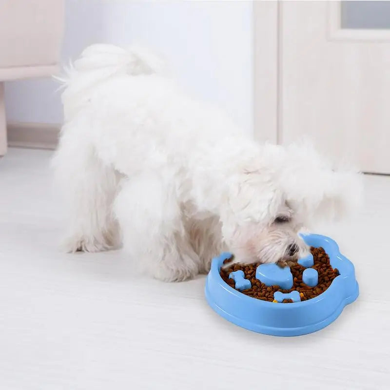 Gamelle anti-glouton pour chien – Mange mieux, digère mieux