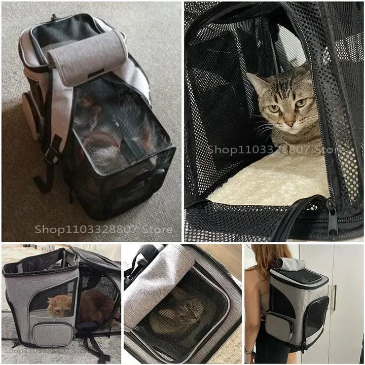 Sac à dos de Transport pour animaux de compagnie, respirant, pliable, sac de voyage, extensible, grande capacité, créatif pour chats et chiens - HautePattes