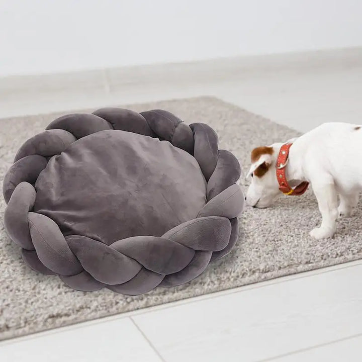 Panier en Coton 100 % Naturel pour Chat et Petit Chien - HautePattes