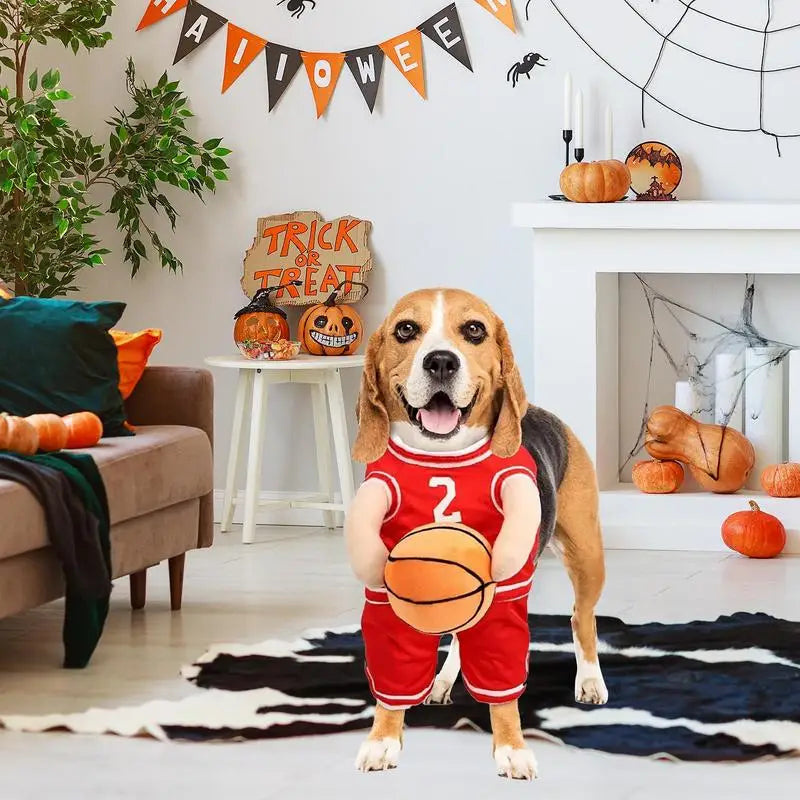 Costume basketteur pour chien : transforme-le en star du salon