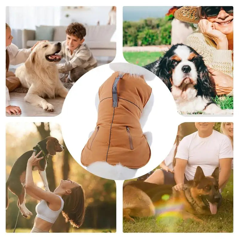 Manteau col roulé 4 pattes pour petit chien élégant