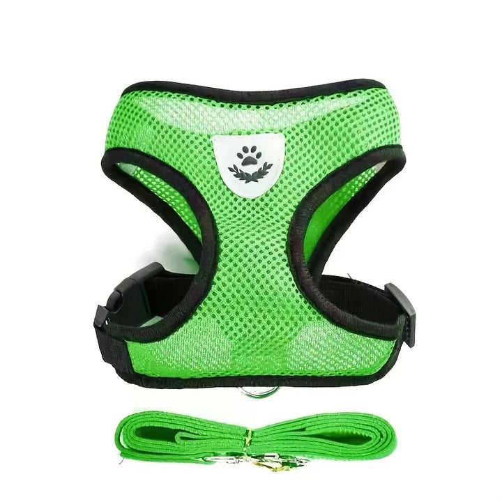 Ensemble harnais et laisse réfléchissants pour animaux de compagnie, pour chiens et chats, harnais réglable pour chiot et chat avec maille douce - HautePattes