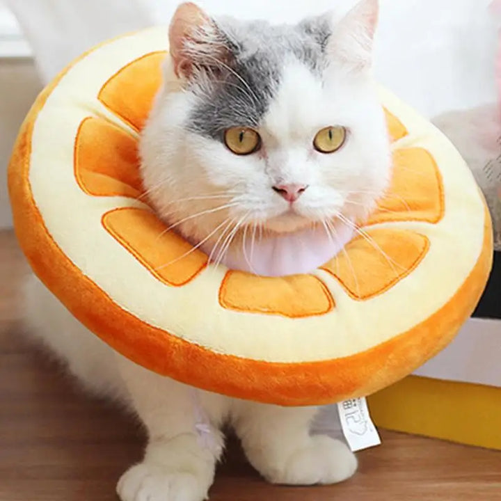 Collerette pour chat en forme d'orange - HautePattes