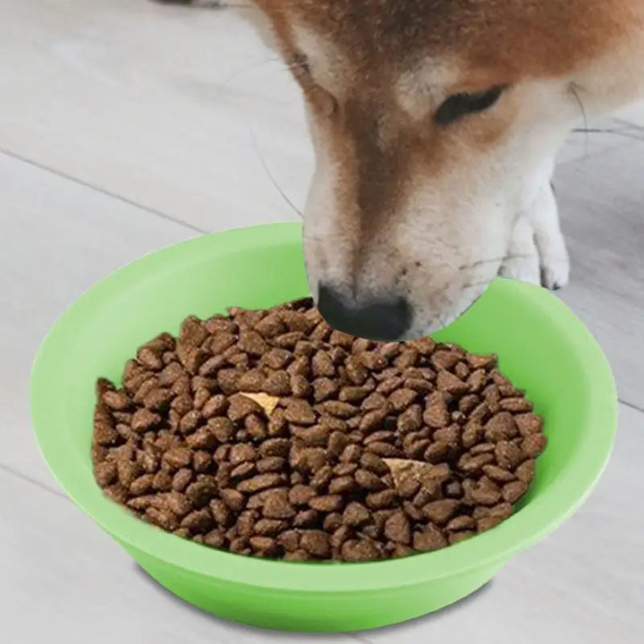 Gamelle en Silicone à Alimentation Lente pour Chiens – Design Mignon & Double Face - HautePattes