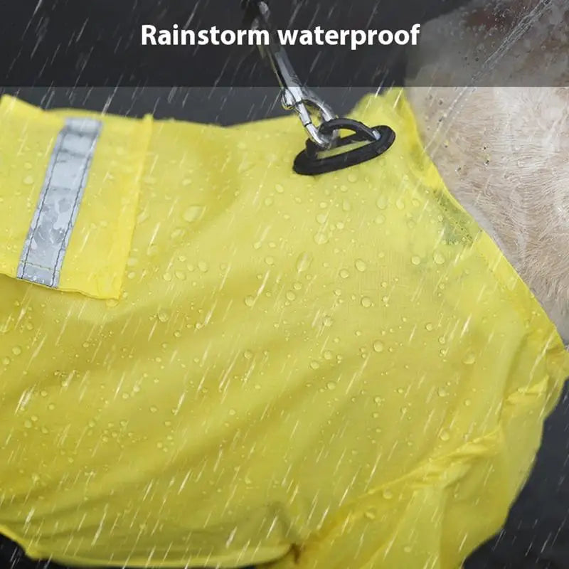 Imperméable Ultra-Résistant pour Chien - HautePattes