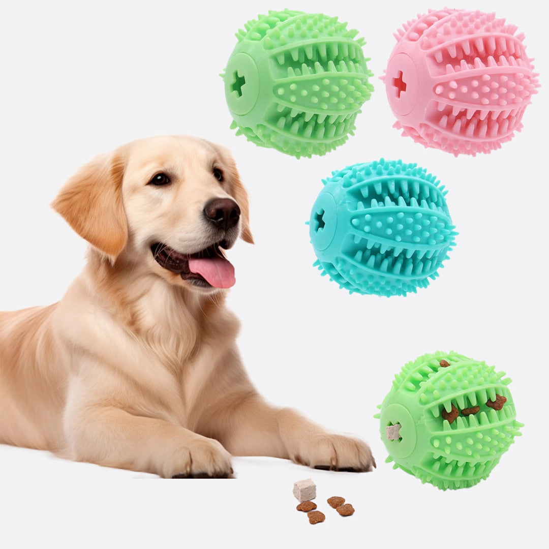 Balle Intelligente à Friandises – Éveillez l’instinct - HautePattes