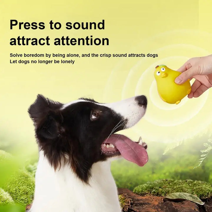 Jouet Couineur Mignon pour Chien - HautePattes