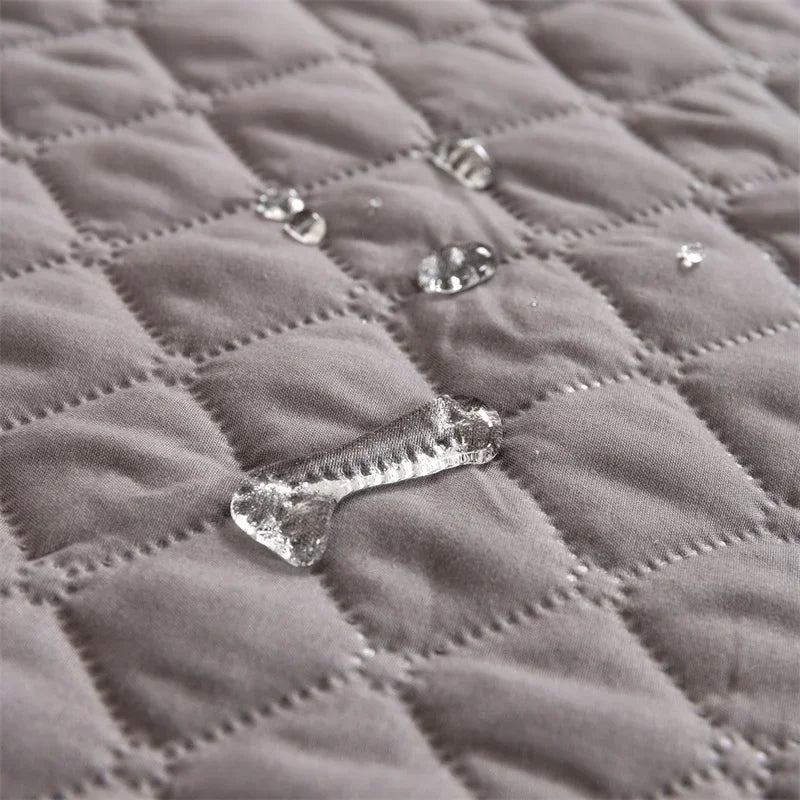 Tapis apaisant chien chat pour un refuge partout