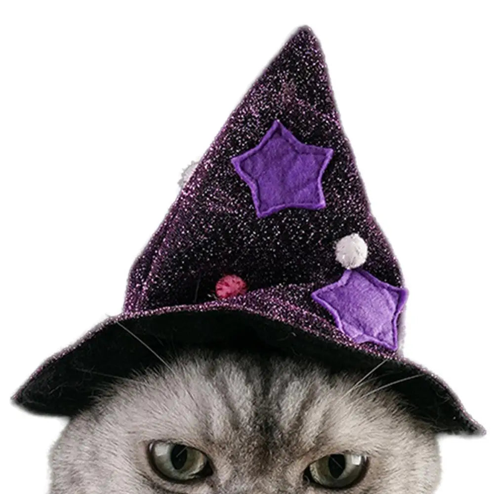 Costume sorcier chien & chat : léger, brillant et irrésistible