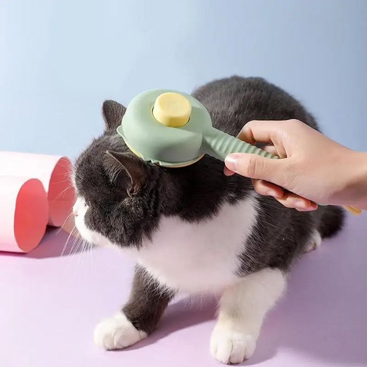 Brosse toilettage chien chat : douceur, complicité, poils en moins