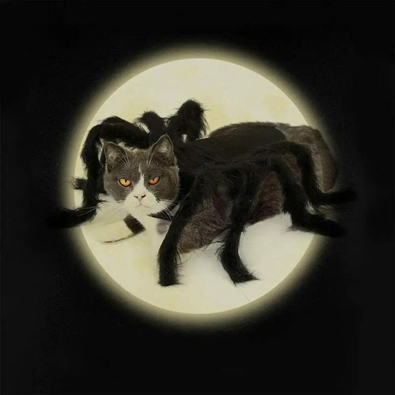 Costume Halloween araignée – Pour chat, chiot ou petit chien