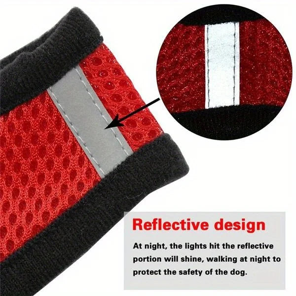 Ensemble harnais et laisse réfléchissants pour animaux de compagnie, pour chiens et chats, harnais réglable pour chiot et chat avec maille douce - HautePattes